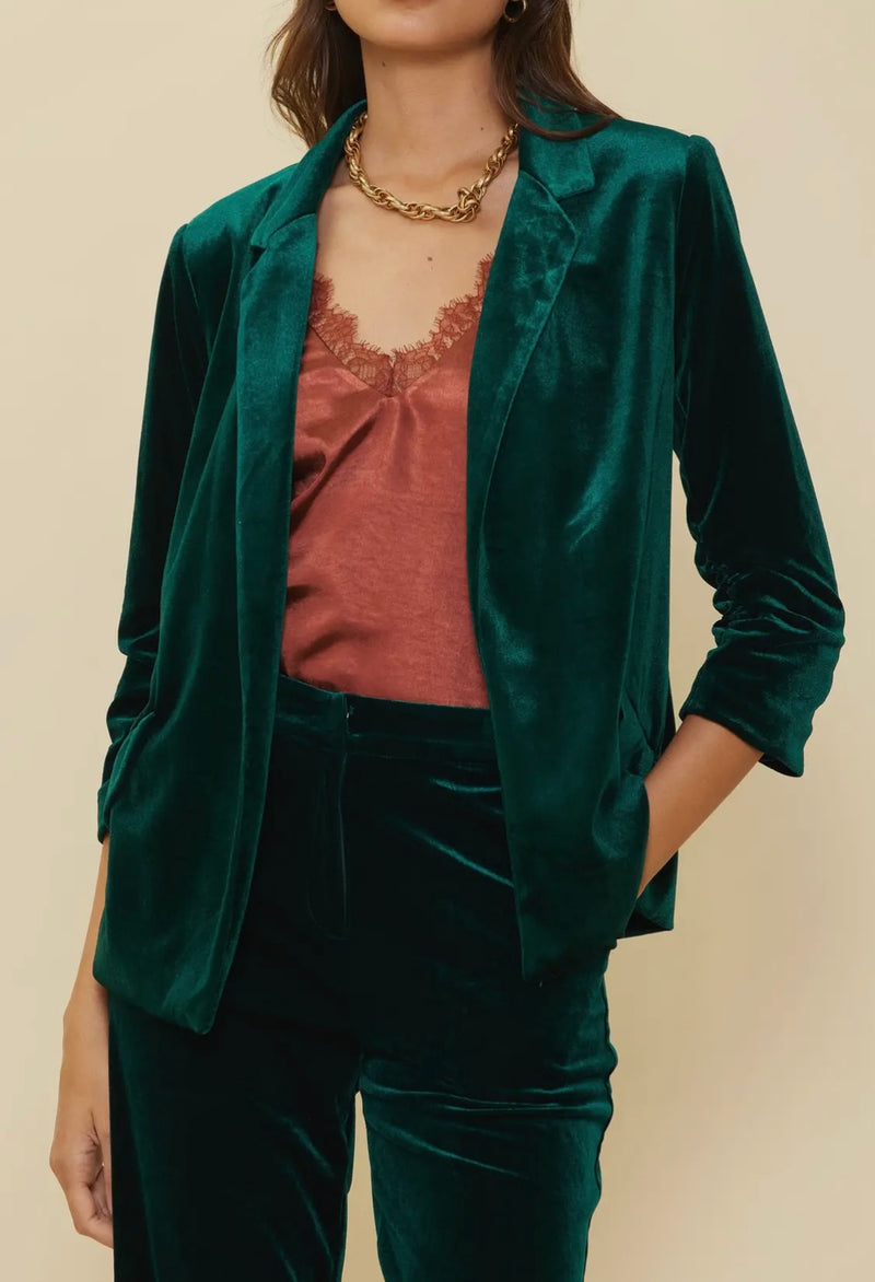 Velvet Blazer