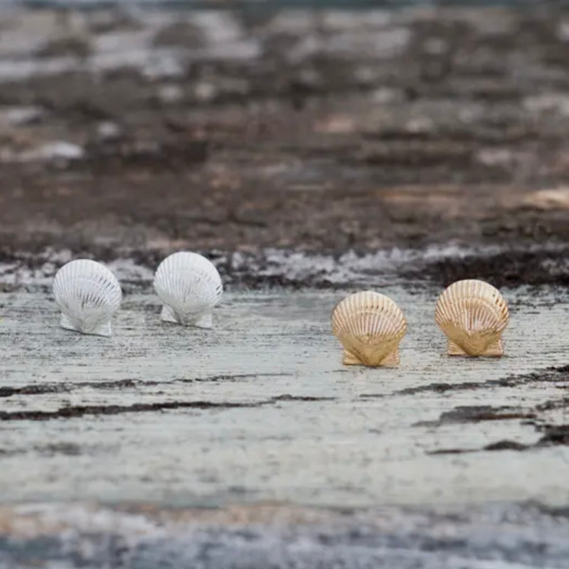 Queen Scallop Studs