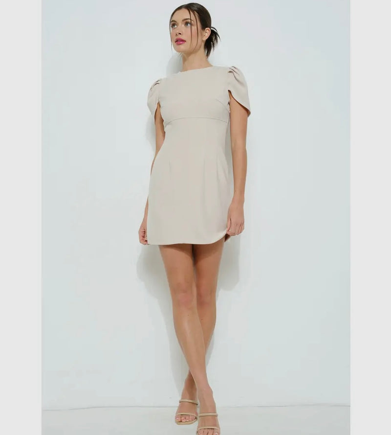 Draped Sleeve Fitted Dress