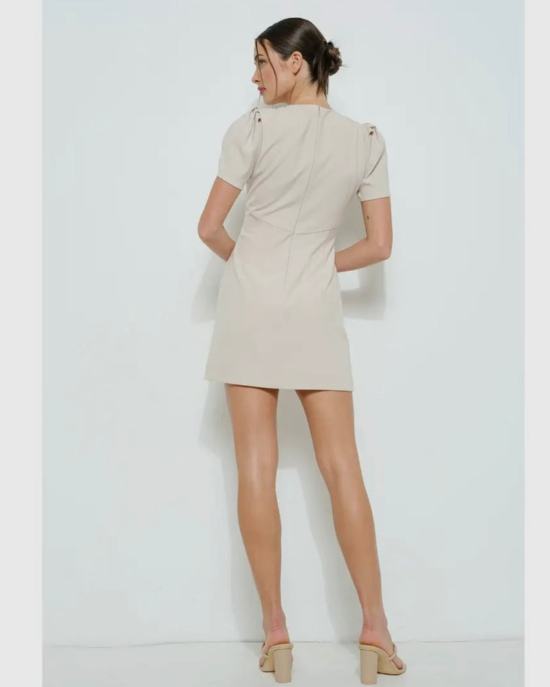 Draped Sleeve Fitted Dress