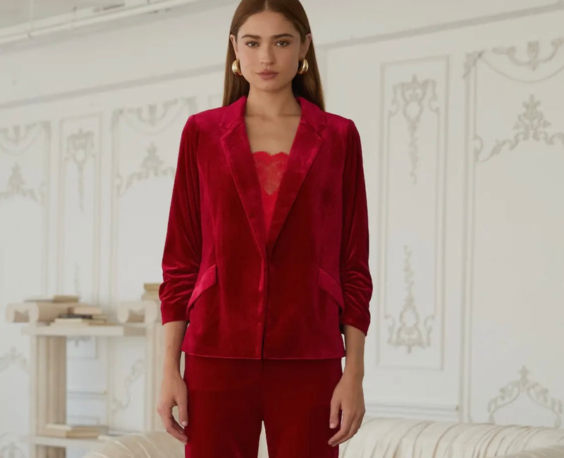 Velvet Blazer