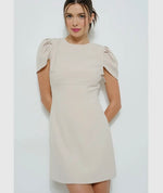 Draped Sleeve Fitted Dress