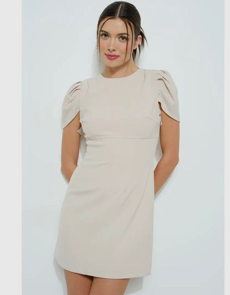 Draped Sleeve Fitted Dress