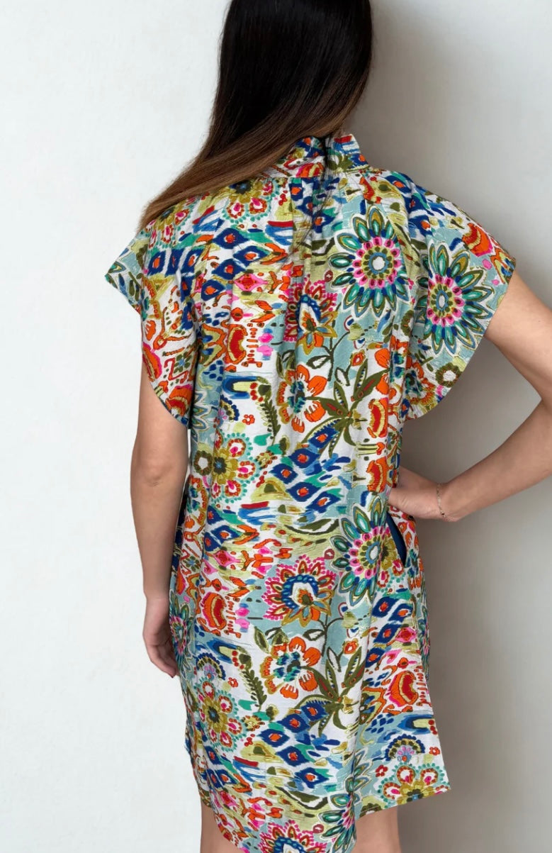 Emme Multi Color Dress