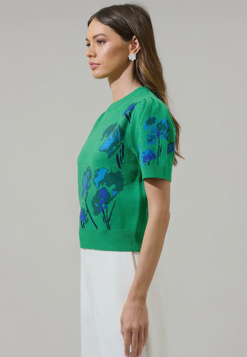 Kersey Short Sleeve Sweater