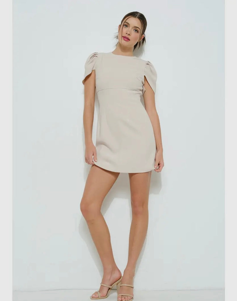 Draped Sleeve Fitted Dress